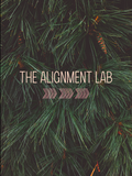 The Alignment Lab: A Four Week Small Group Brand Intensive