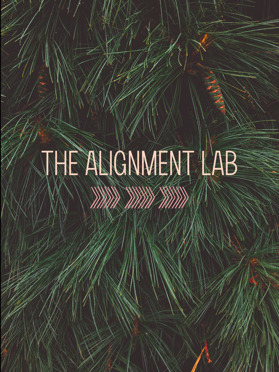 The Alignment Lab: A Four Week Small Group Brand Intensive