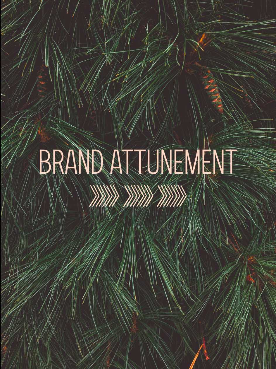 Brand Attunement: A Private Eight Week Brand Architecture